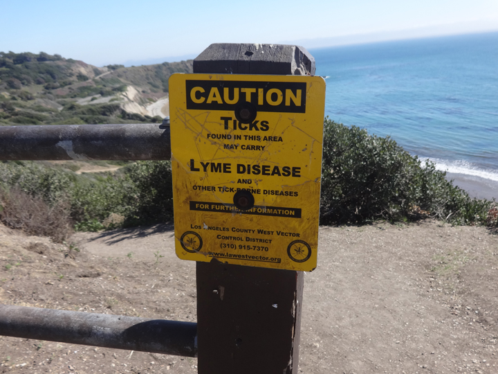 abalone-cove-tick-sign