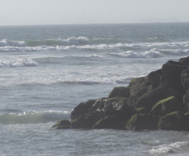 bolsa-chica-ocean-view