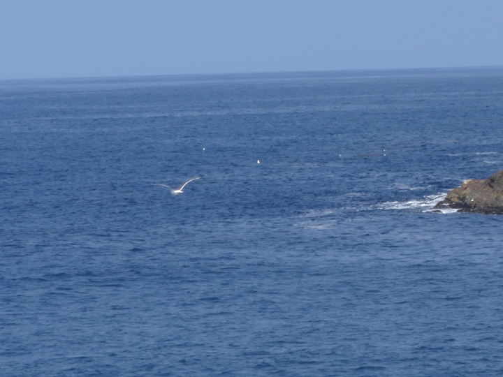 bright-blue-sea-redondo