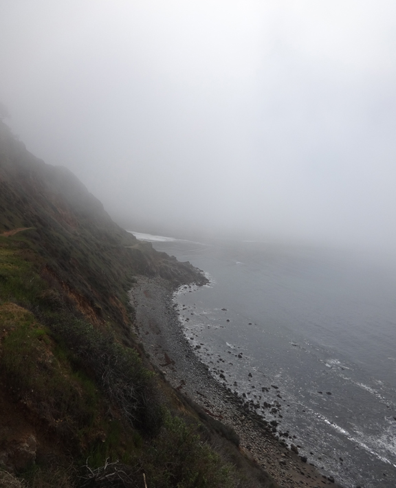 fog-hugging-coast