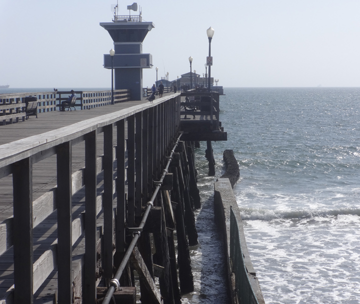 pier-guard-action-seal-beach