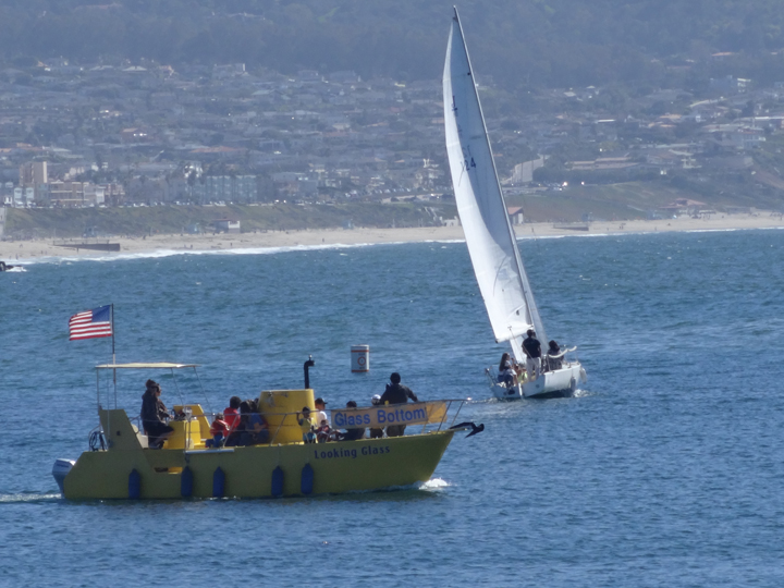 redondo-glass-bottom-boat-harbor