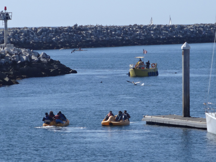 redondo-harbor-sunny-day