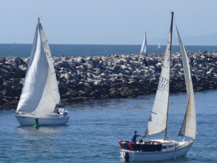 sailboats-redondo-harbor