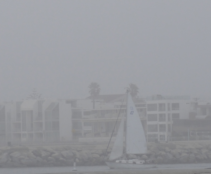 sailing-through-the-fog-marina