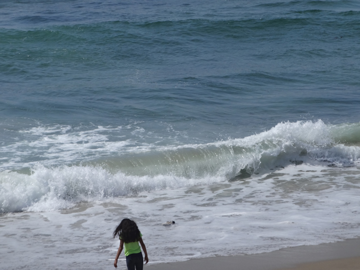 st-patricks-day-hermosa-surf
