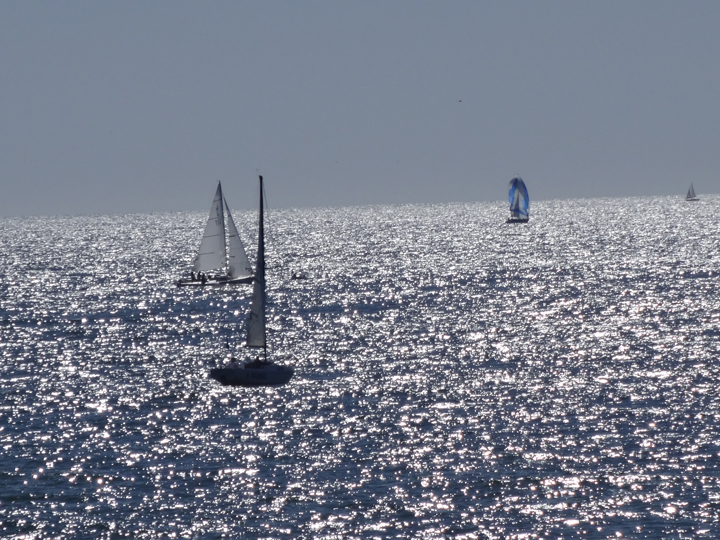 sun-water-sailboats-redondo