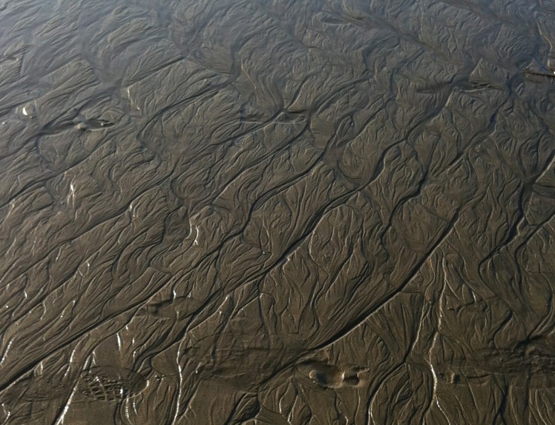 tracks-in-the-sand-2013