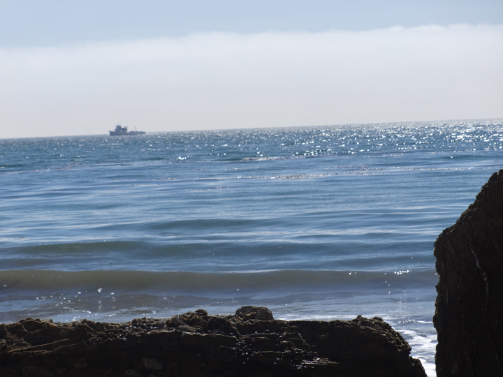 whale-watchers-abalone-cove