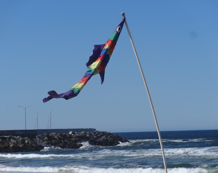 fish-takes-wind-hermosa