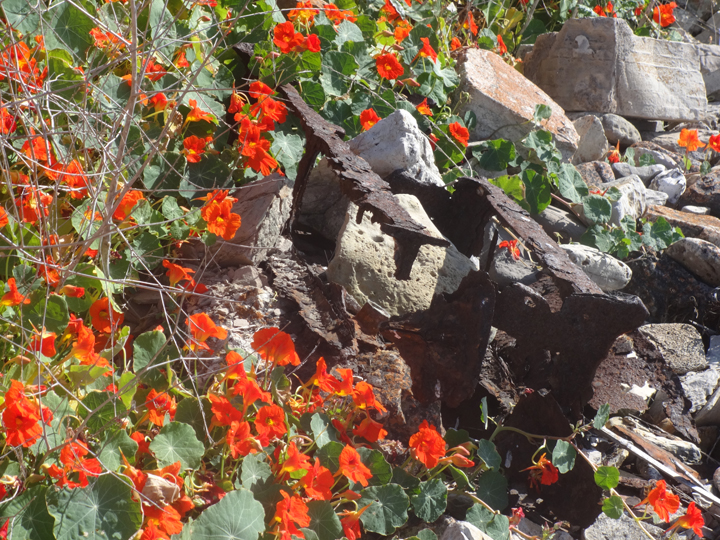 flowers-in-wreckage-2013