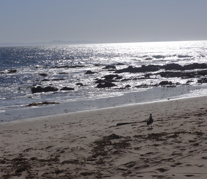 solace-in-beauty-crystal-cove