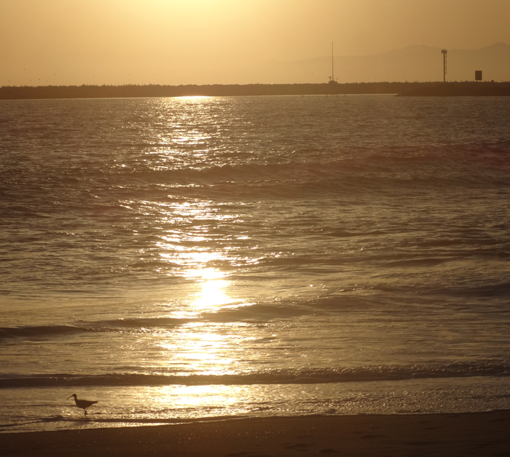 sunset-playa-april-2013