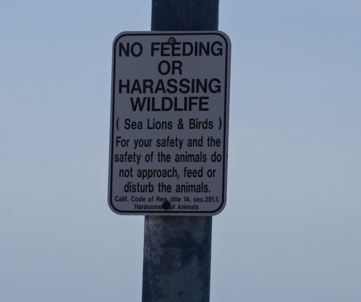 no-harassing-wildlife