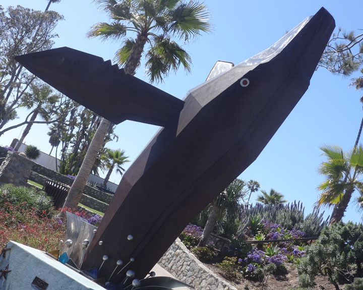 whale-watching-laguna-beach