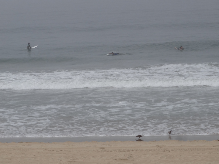 foggy-surf-day