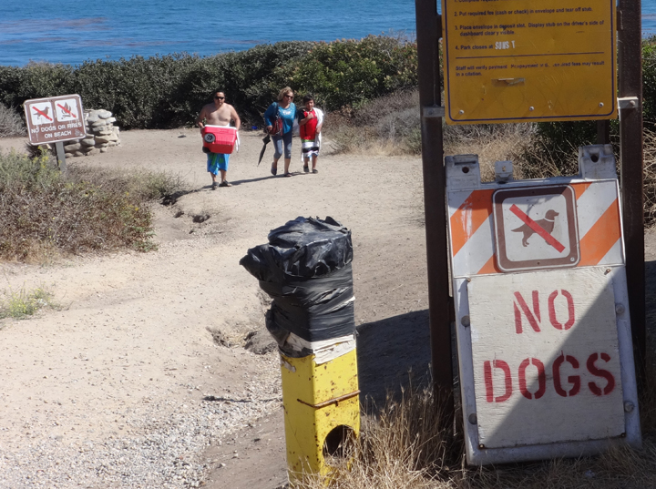 no-dogs-malibu-signs