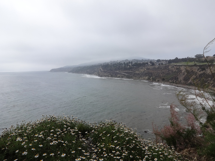 point-fermin-ocean-view-san-pedro