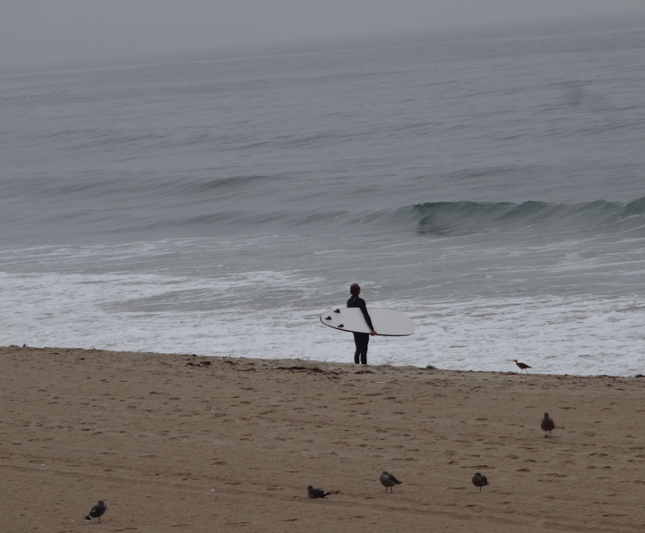 foggy-morning-surfer