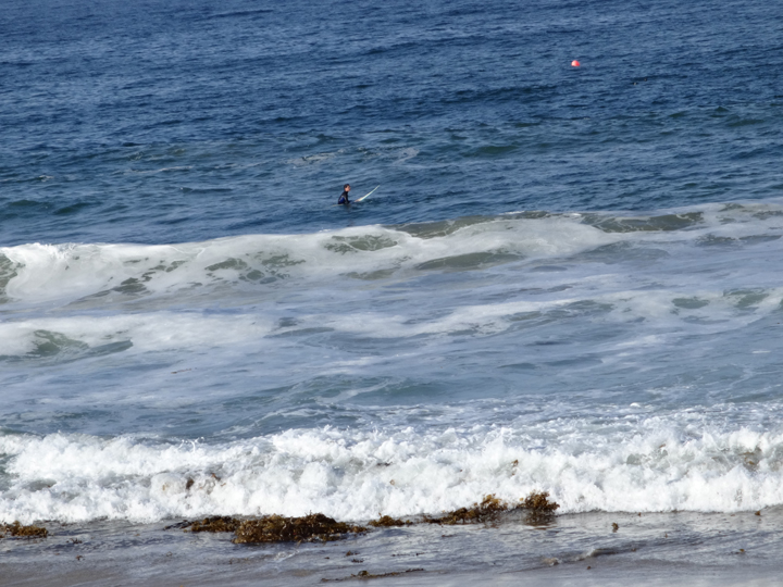 Blue morning -- Hermosa