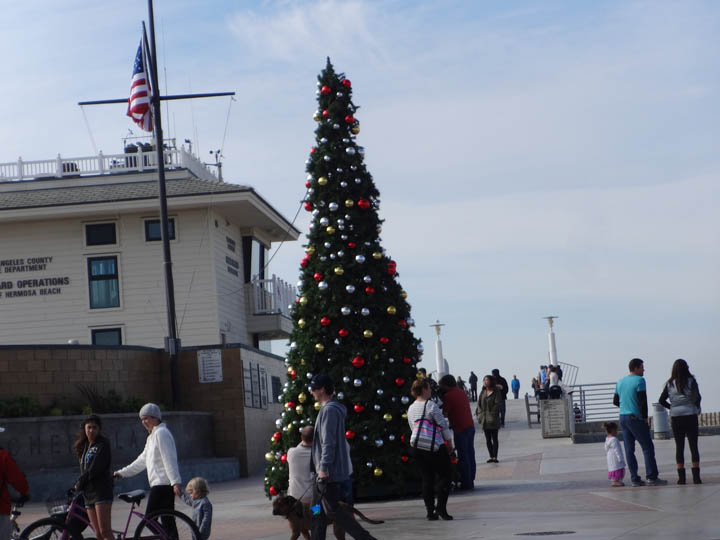 christmas-tree-hermosa-2013
