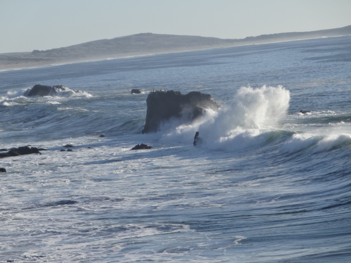 portuguese-beach-sonoma