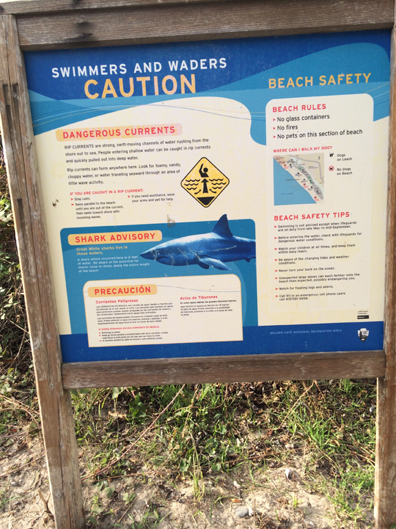 stinson-beach-shark-warning-sign