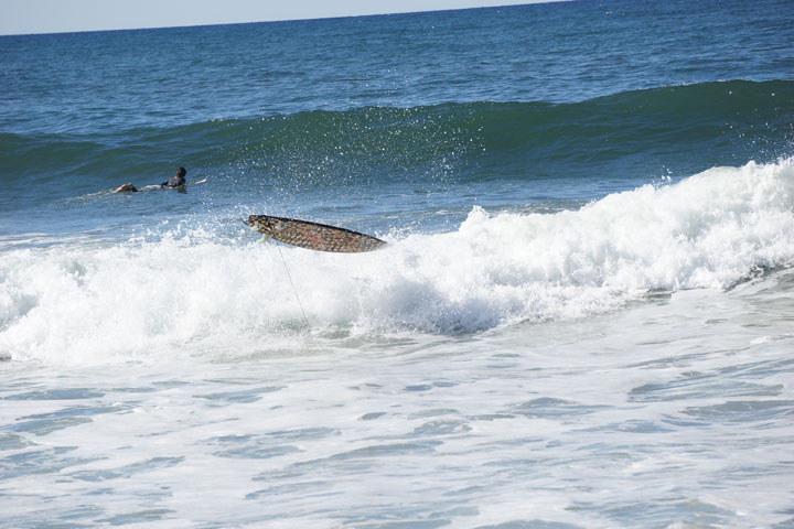 end-of-ride-surfboard-hermosa