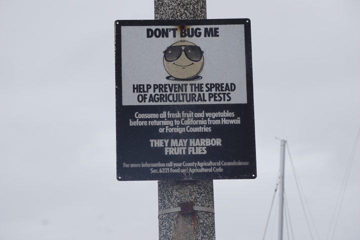 dont-bug-me-king-harbor