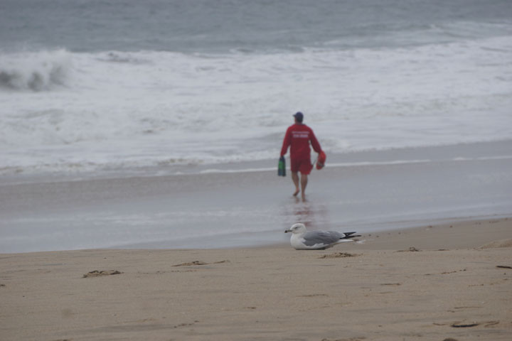 lifeguard-chases-surfer-high-surfer-hermosa