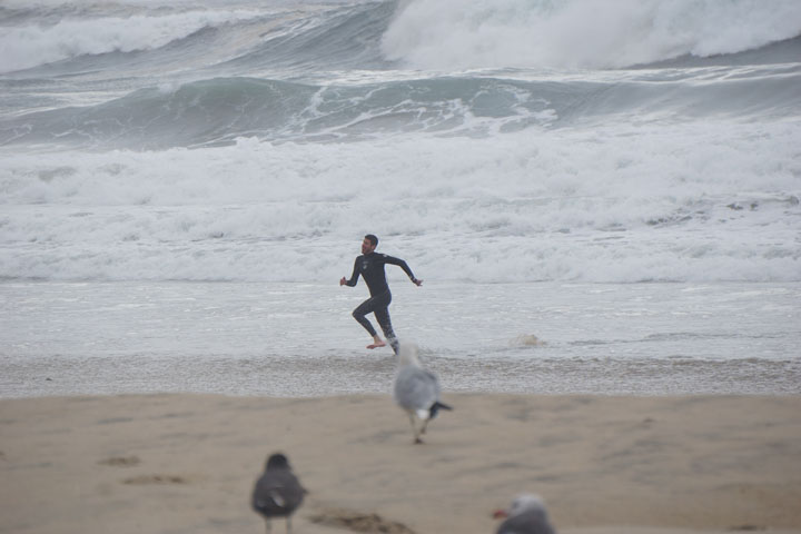 storm-reveler-hermosa