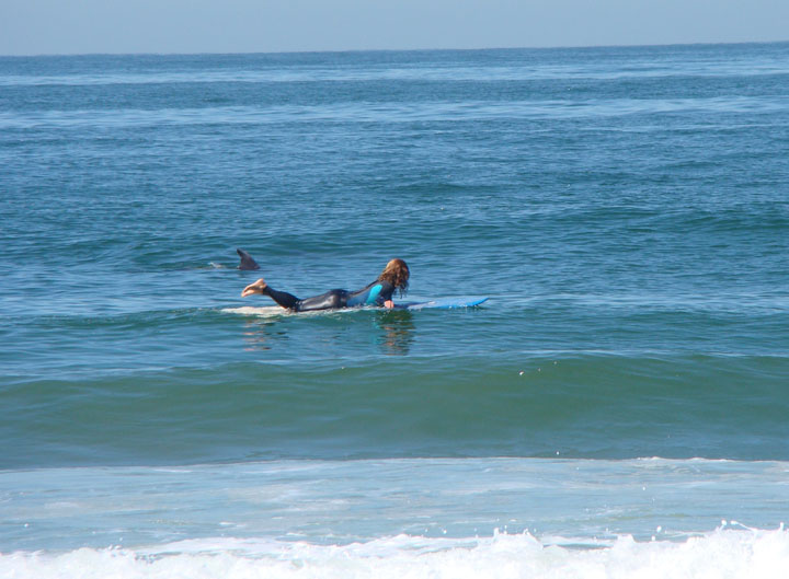 surfer-dolphin-communing-nature-hermosa
