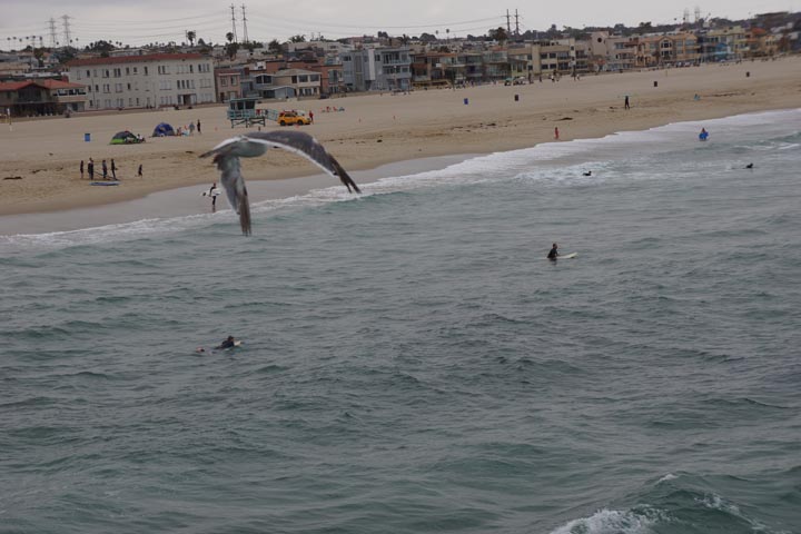 birds-eye-view-hermosa