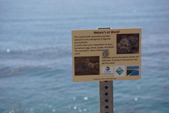 natures-at-work-point-vicente