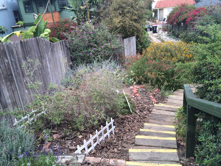 venice-monarch-waystation-inside