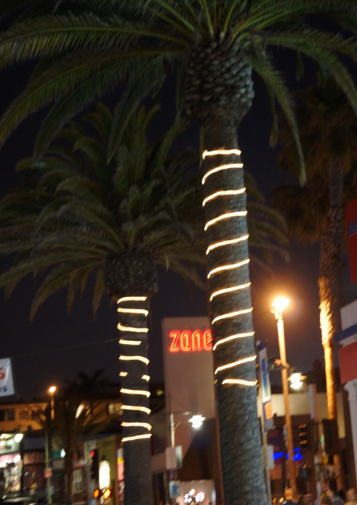 zanes-night-hermosa-palm-trees-may