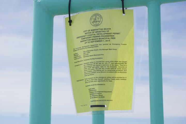 manhattan-beach-order-banning-fishing-after-shark-attack