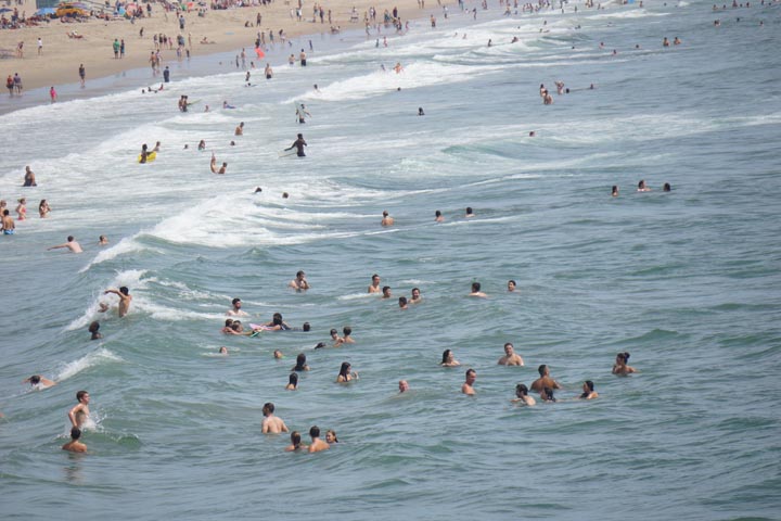 manhattan-beach-swimmers-after-shark