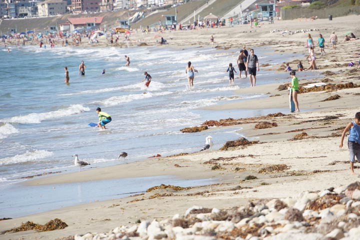 rat-beach-scene-sunday-july