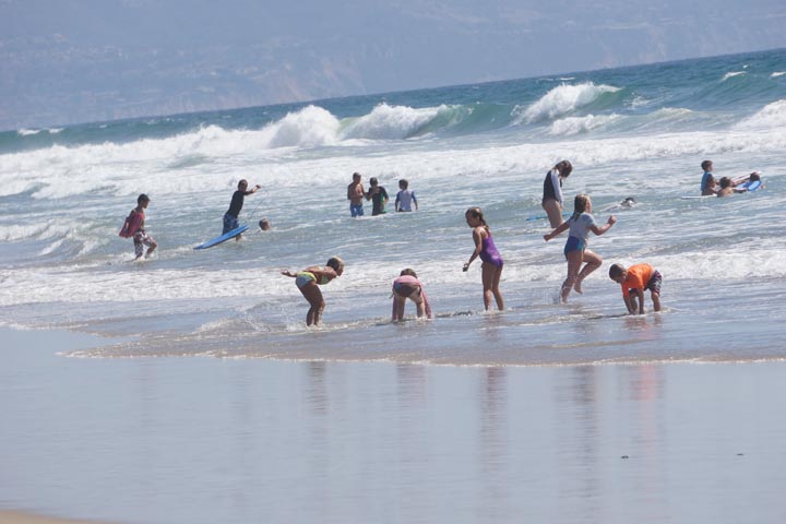 el-porto-ocean-fun-tuesday-afternoon