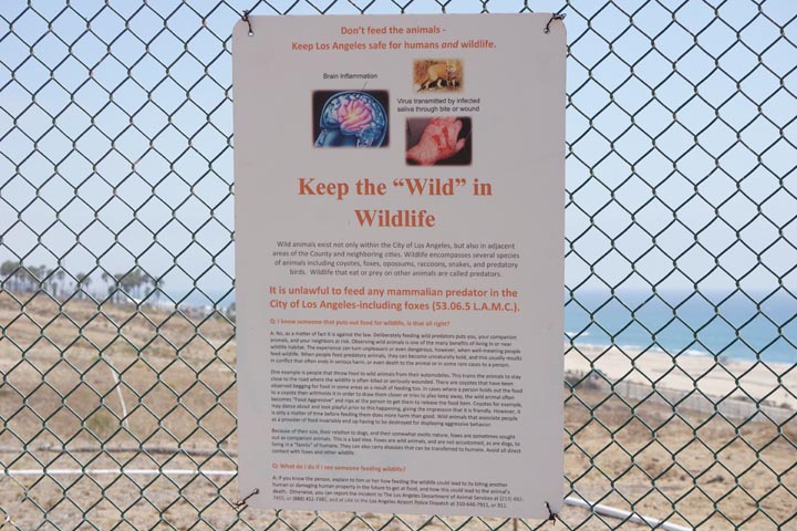 keep-wild-wildlife-playa