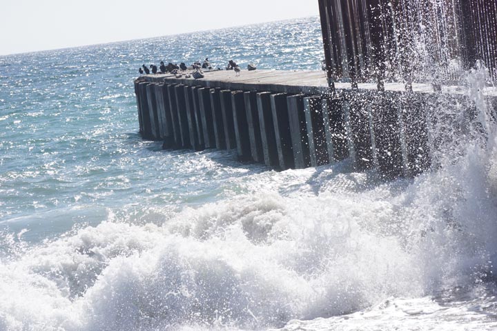 playa-splash-with-birds