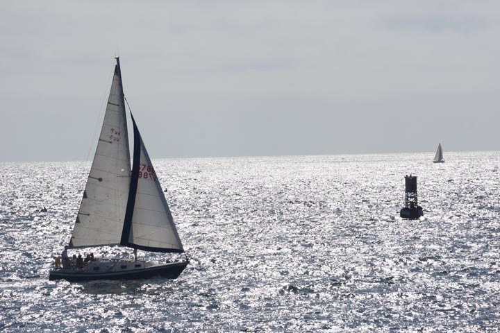 sailboats-redondo-harbor-sunday-august