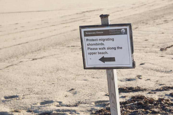 cape-cod-migrating-birds-closure