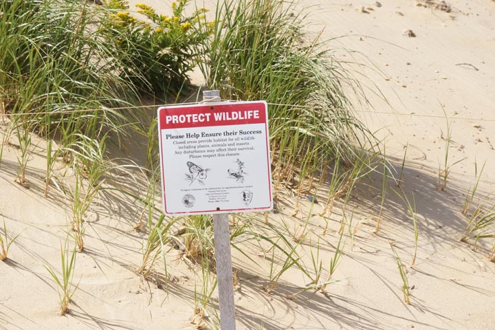 cape-cod-protect-wildlife-sign