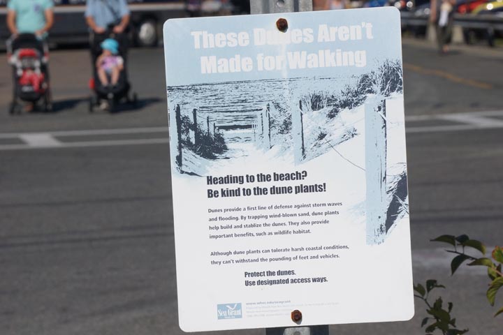 dunes-arent-made-walking-provincetown