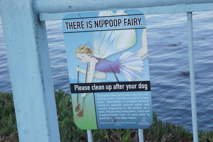 no-poop-fairy-santa-cruz