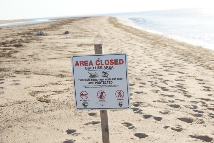 provincetown-area-closed-bird-use