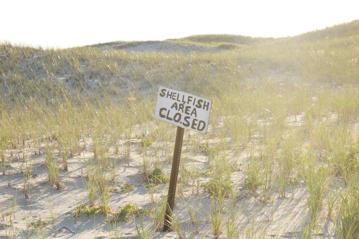 provincetown-shellfish-area-closed