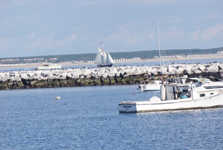 provincetown-ships-harbor
